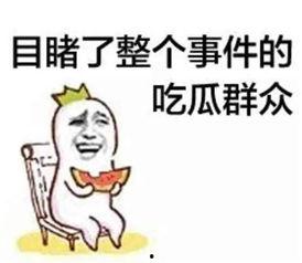 奇葩猜歌带你吃瓜视频在线观看,趣味吃瓜，音乐狂欢盛宴