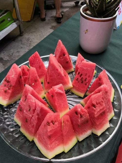 宁夏吃瓜视频大全,吃瓜视频大全，带你领略塞上江南的味蕾盛宴