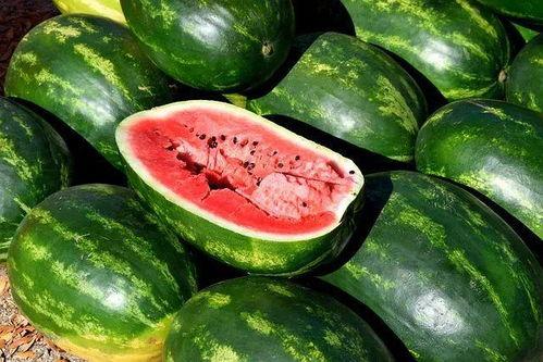 特色奇葩吃瓜视频大全,笑料百出，让你笑到肚子疼！