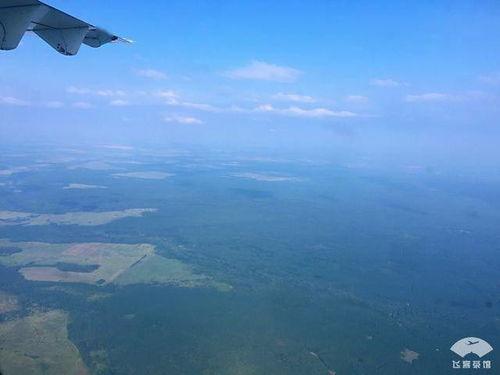 低空飞行吃瓜视频,低空飞行视角下的夏日瓜田奇观