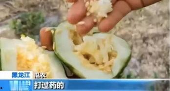 福建晋江吃瓜事件视频曝光,视频曝光揭示惊人真相