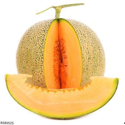 黄蛉可以吃哈密瓜吗视频