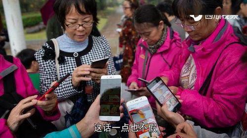 疯狂星期4吃瓜视频,吃瓜视频揭秘娱乐圈幕后风云