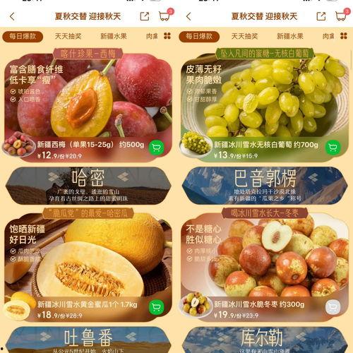 吃瓜叮咚买菜视频大全播放