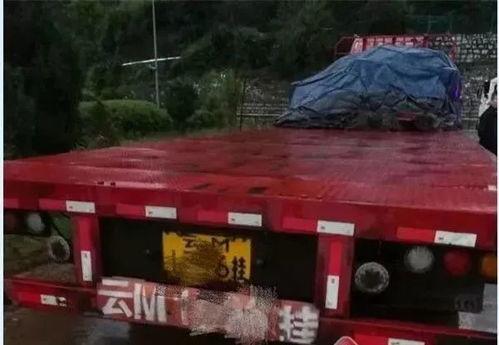 吃瓜追尾视频在线观看,惊险追尾瞬间，视频直播全程回顾