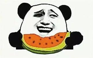 吃瓜群众王大头视频播放,揭秘热门事件背后的真相