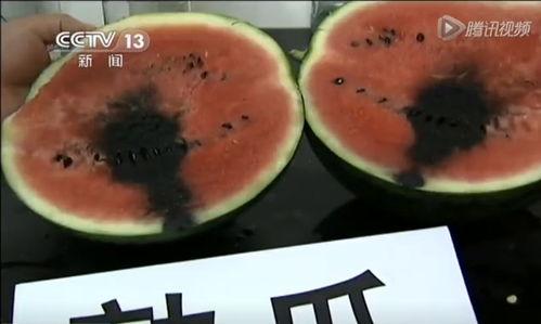 俄乌吃瓜视频,吃瓜群众视角下的实时视频解读