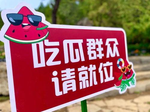 2024年吃瓜视频,盘点娱乐圈那些让人捧腹大笑的瞬间