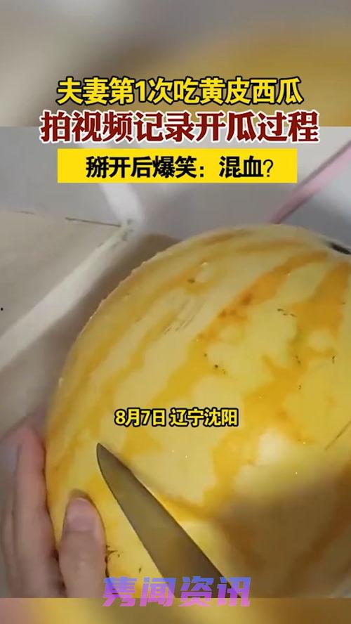 怎么吃黄色蜜瓜视频,黄色蜜瓜的完美食用指南