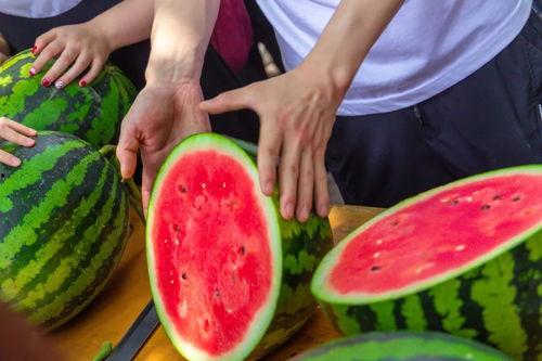 国内高校吃瓜视频,揭秘校园美食背后的那些事