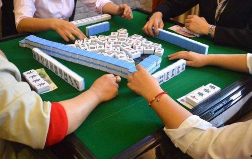 打牌吃瓜视频素材免费版,轻松打造趣味娱乐内容