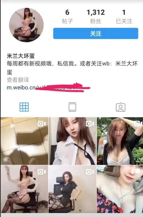 宁乡直播吃瓜事件视频,一场网络争议的发酵与反思