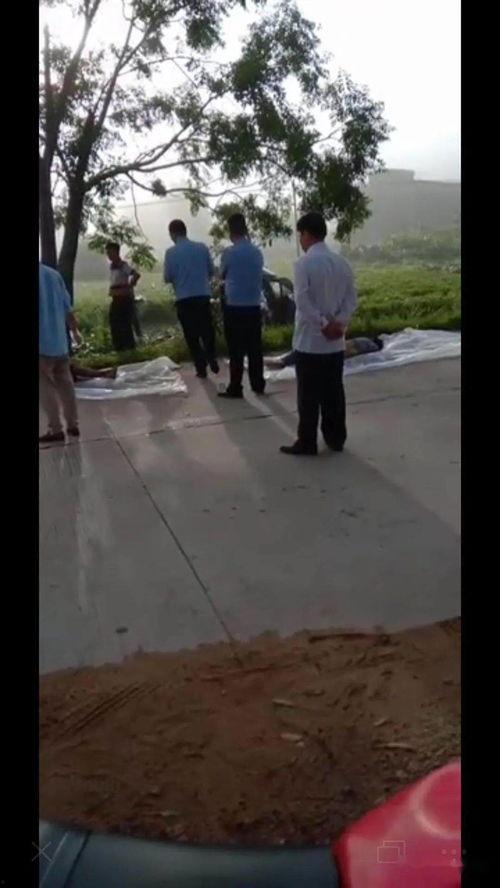 吃瓜造成车祸事件视频播放,网络狂欢背后的安全隐患