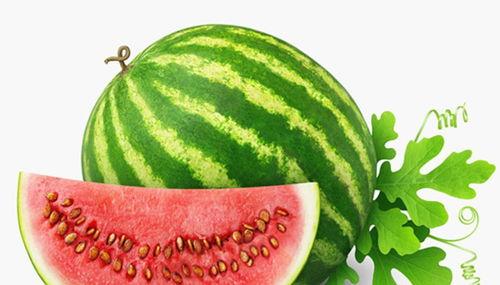 吃瓜视频模板最火一段