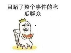 吃瓜大妈最新事件视频,揭秘幕后真相，引发网友热议