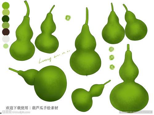 吃葫芦瓜视频素材图片高清