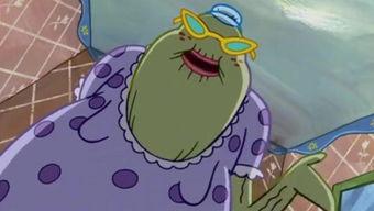 阿星与阿奇吃瓜系列视频,吃瓜系列，揭秘娱乐圈幕后故事