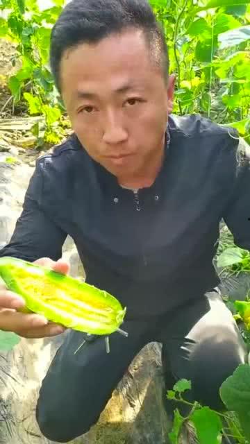 朋友们吃瓜了的视频,朋友们吃瓜视频背后的故事