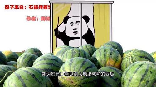 二哥的吃瓜视频大全,盘点娱乐圈那些鲜为人知的幕后故事