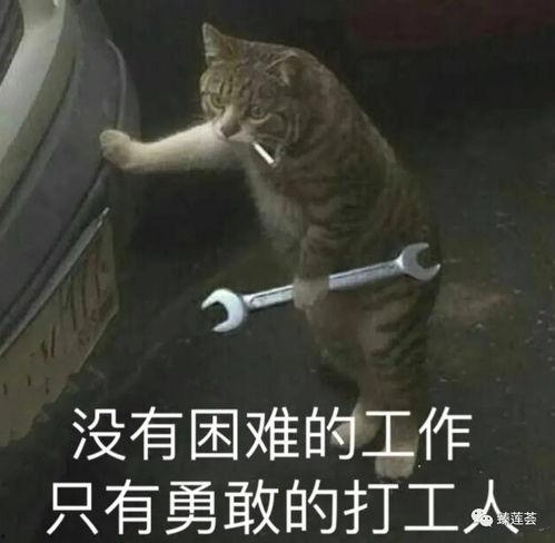 打工人吃瓜视频大全下载,吃瓜视频大全下载攻略