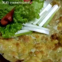 不吃瓜只吃饼的视频大全,揭秘不吃瓜只吃饼的美食之旅