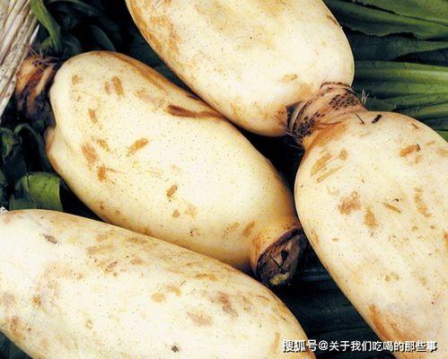 面瓜能不能喂牛羊吃呢视频,牛羊的美食还是不宜食用之谜？