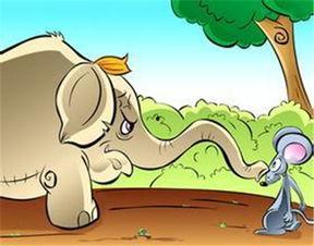 小老鼠吃瓜视频大全集,欢乐逗趣，萌态百出