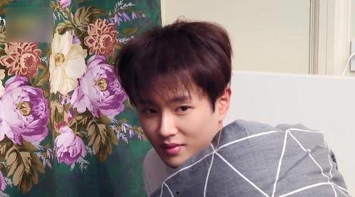 郑恺范丞丞吃瓜视频