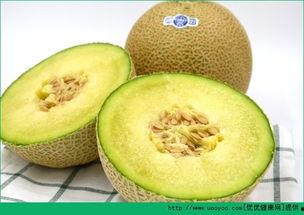 五个小孩吃哈密瓜好吗视频,五个小孩共享哈密瓜的快乐时光