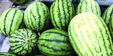 快速吃瓜视频在哪里看,快速吃瓜视频观看攻略，轻松掌握热门资讯！