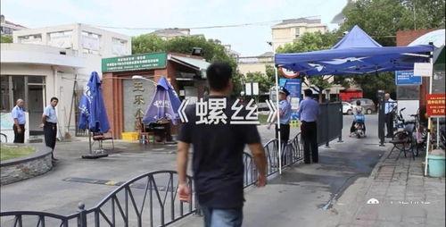 街道吃瓜视频大全,吃瓜视频大全精选回顾