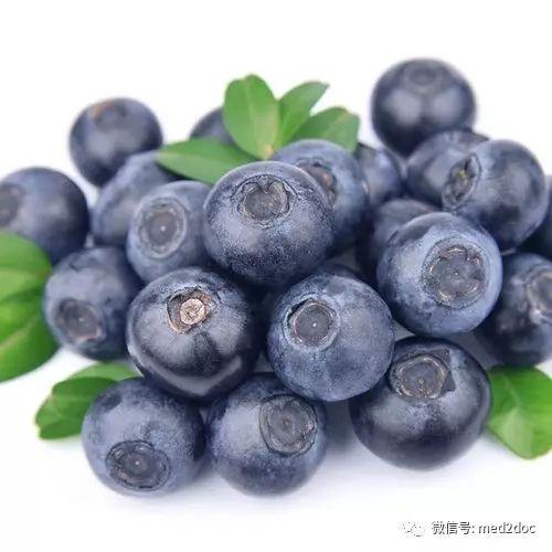 娱乐吃瓜酱蓝莓视频大全,娱乐吃瓜酱带你领略趣味瞬间 第3张 娱乐吃瓜酱蓝莓视频大全,娱乐吃瓜酱带你领略趣味瞬间 第3张