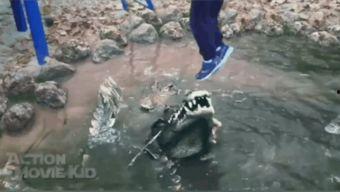 鳄鱼吃瓜的视频大全下载,揭秘动物世界生存法则  第3张