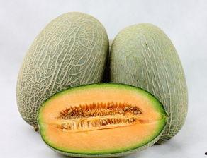 燕子吃哈密瓜视频播放在线观看,一场别开生面的空中美食盛宴  第3张