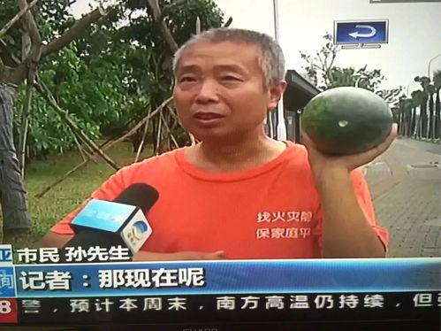 吃瓜群众热门事件视频