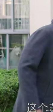 吃瓜群众热门事件视频  第2张