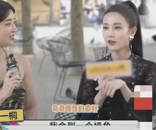 吃瓜模仿明星是真的吗视频,真相与娱乐的交织  第2张