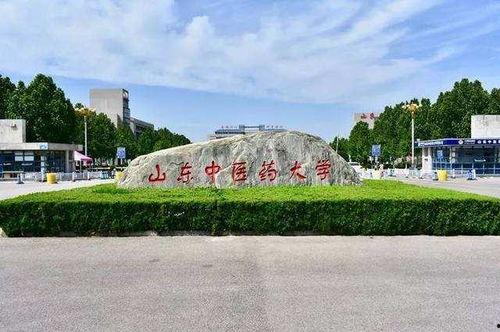 山东中医药大学吃瓜视频