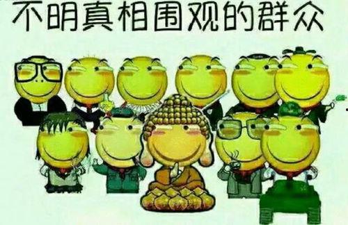 吃瓜群众放歌视频下载
