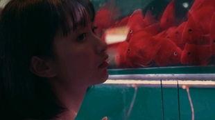 视频吃瓜女孩  第1张