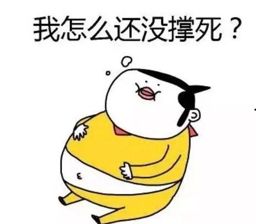 甩锅吃瓜画饼视频,揭秘短视频背后的娱乐真相  第3张