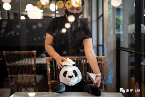 社交距离吃瓜视频,揭秘网络视频的社交新现象 第3张 社交距离吃瓜视频,揭秘网络视频的社交新现象 第3张