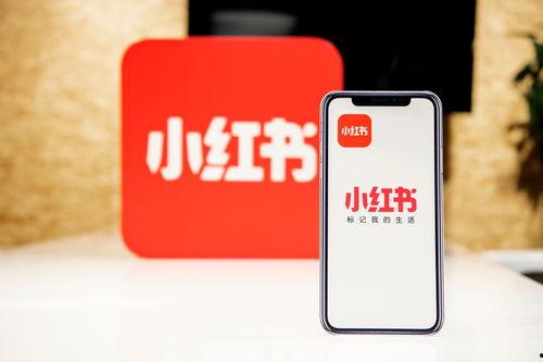 小红书怎么搜吃瓜帖子视频,轻松搜罗热门瓜帖视频  第3张
